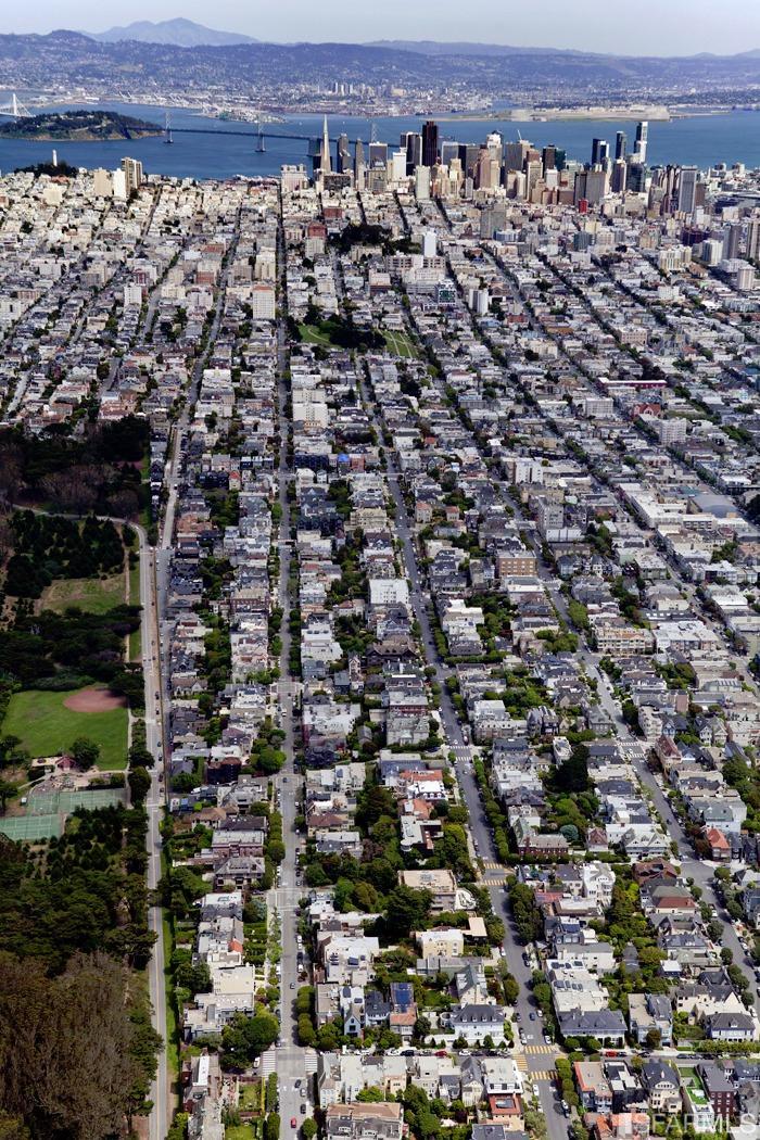 101 Maple Street San Francisco, CA 94118 - Photo 94 of 95