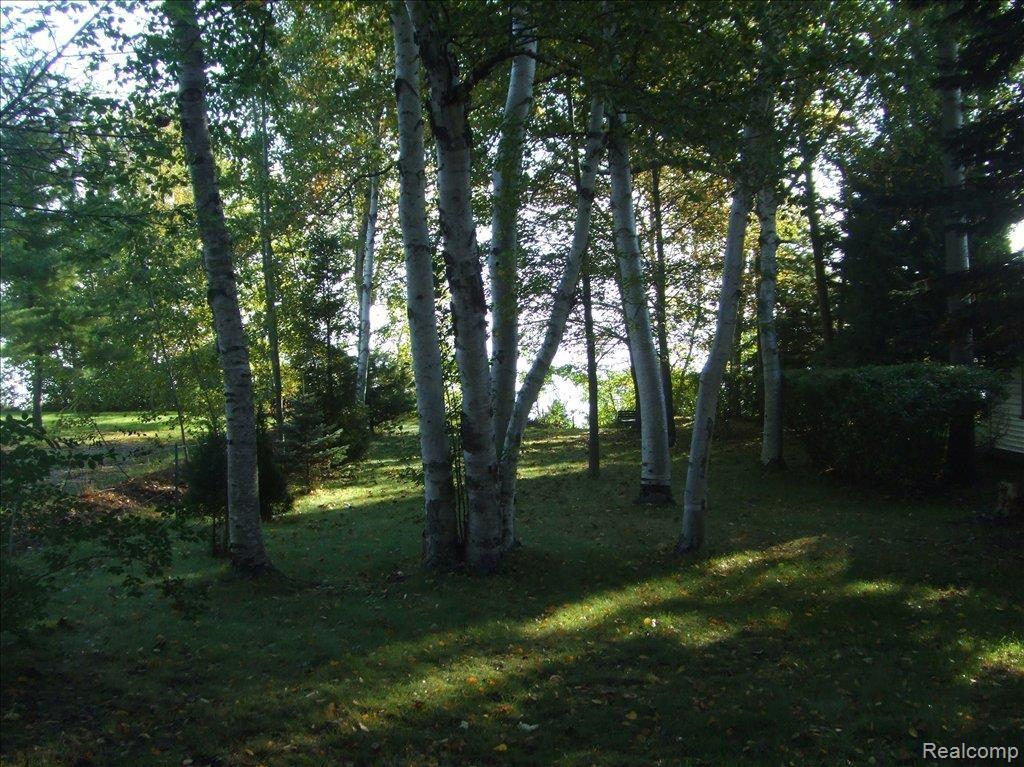 2815 Lakeshore Road Applegate, MI 48401 - Photo 3 of 9 lakeview