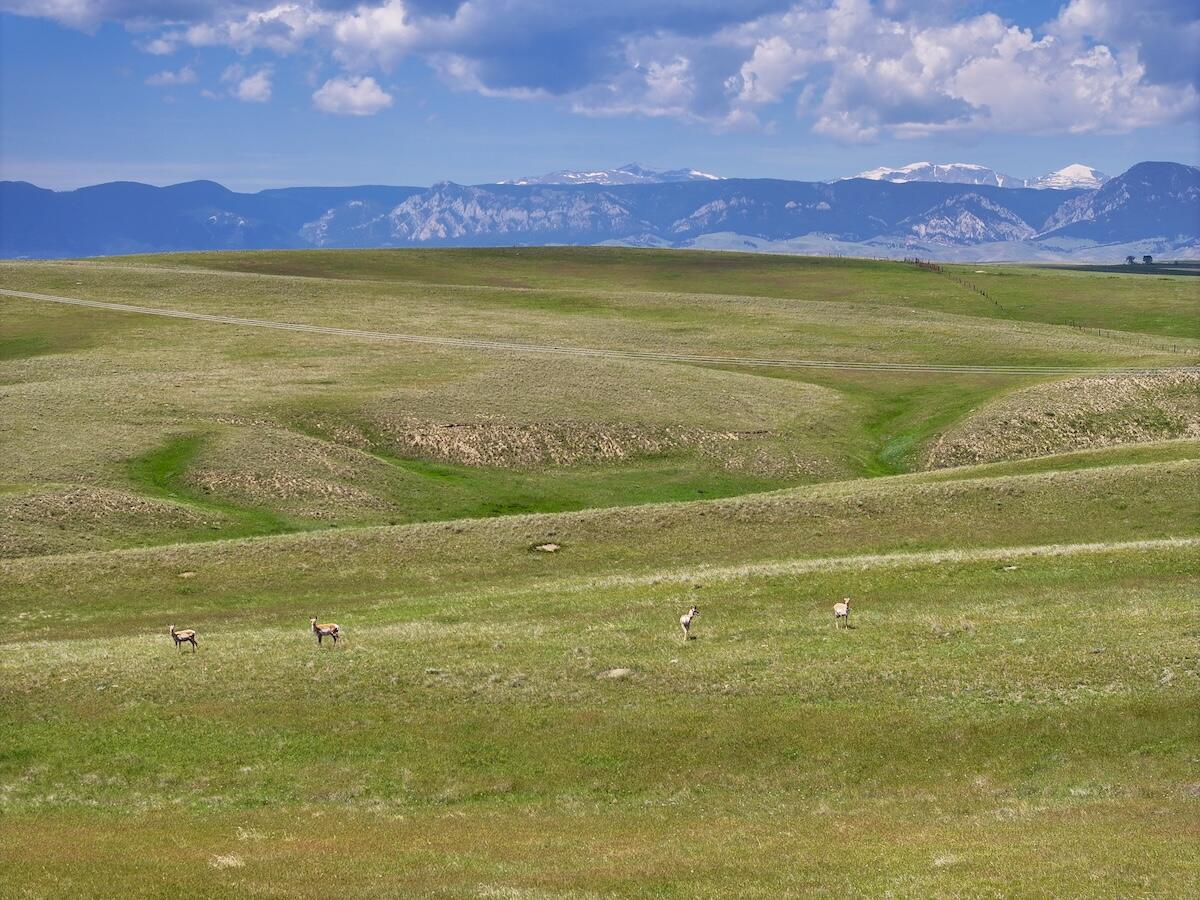 Trabing Road Buffalo, WY 82834 - Photo 9 of 21 10 copy