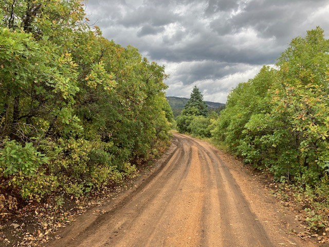 1 La Sierra Road Holman, NM 87723 - Photo 11 of 18