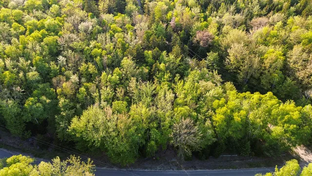 $35,000 | 427 Ripley Road, Harrington, ME 04643