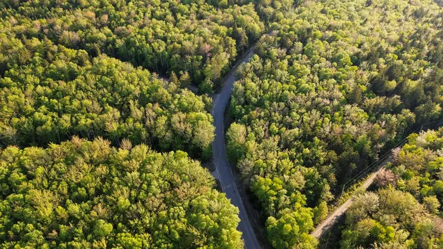 $35,000 | 427 Ripley Road, Harrington, ME 04643