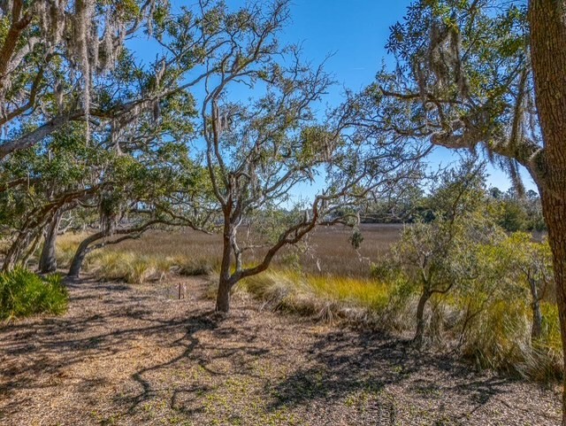 107 Davison Lane St. Simons Island, GA 31522 - Photo 3 of 20