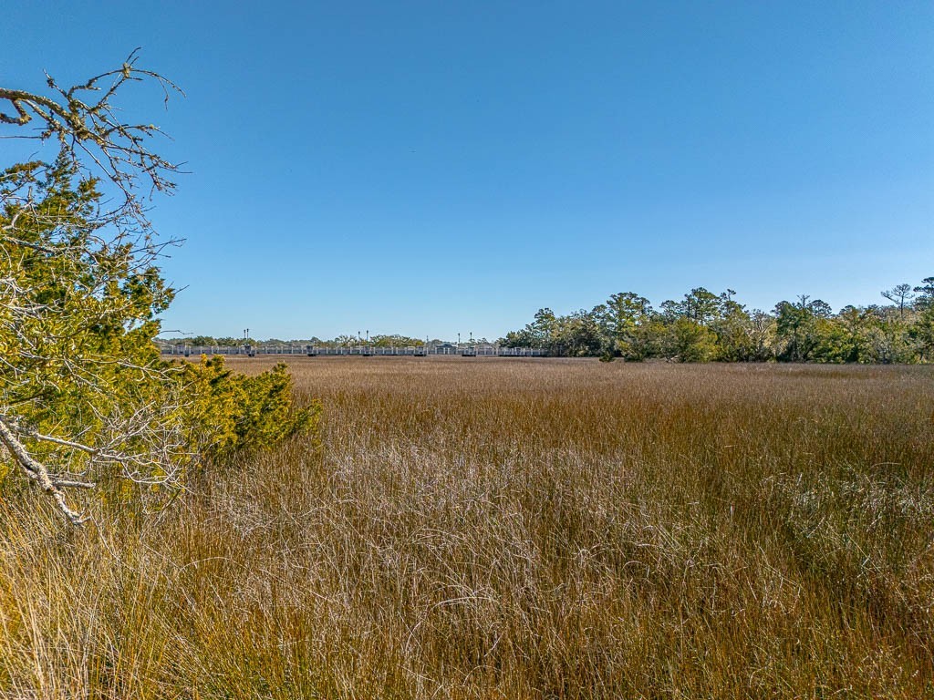 107 Davison Lane St. Simons Island, GA 31522 - Photo 4 of 20