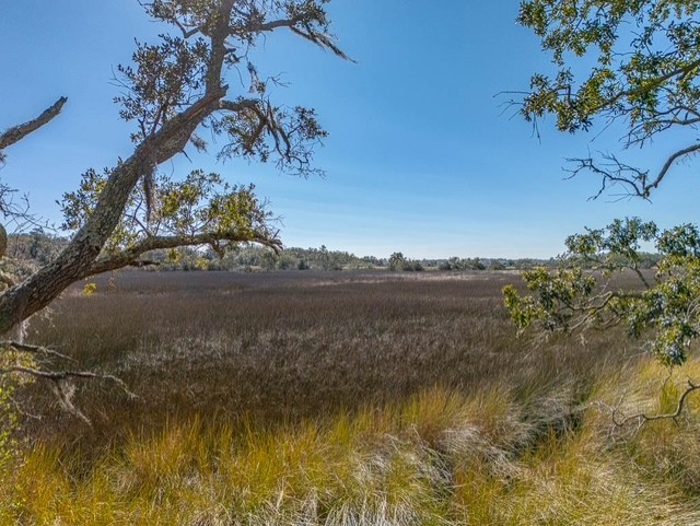 107 Davison Lane St. Simons Island, GA 31522 - Photo 5 of 20