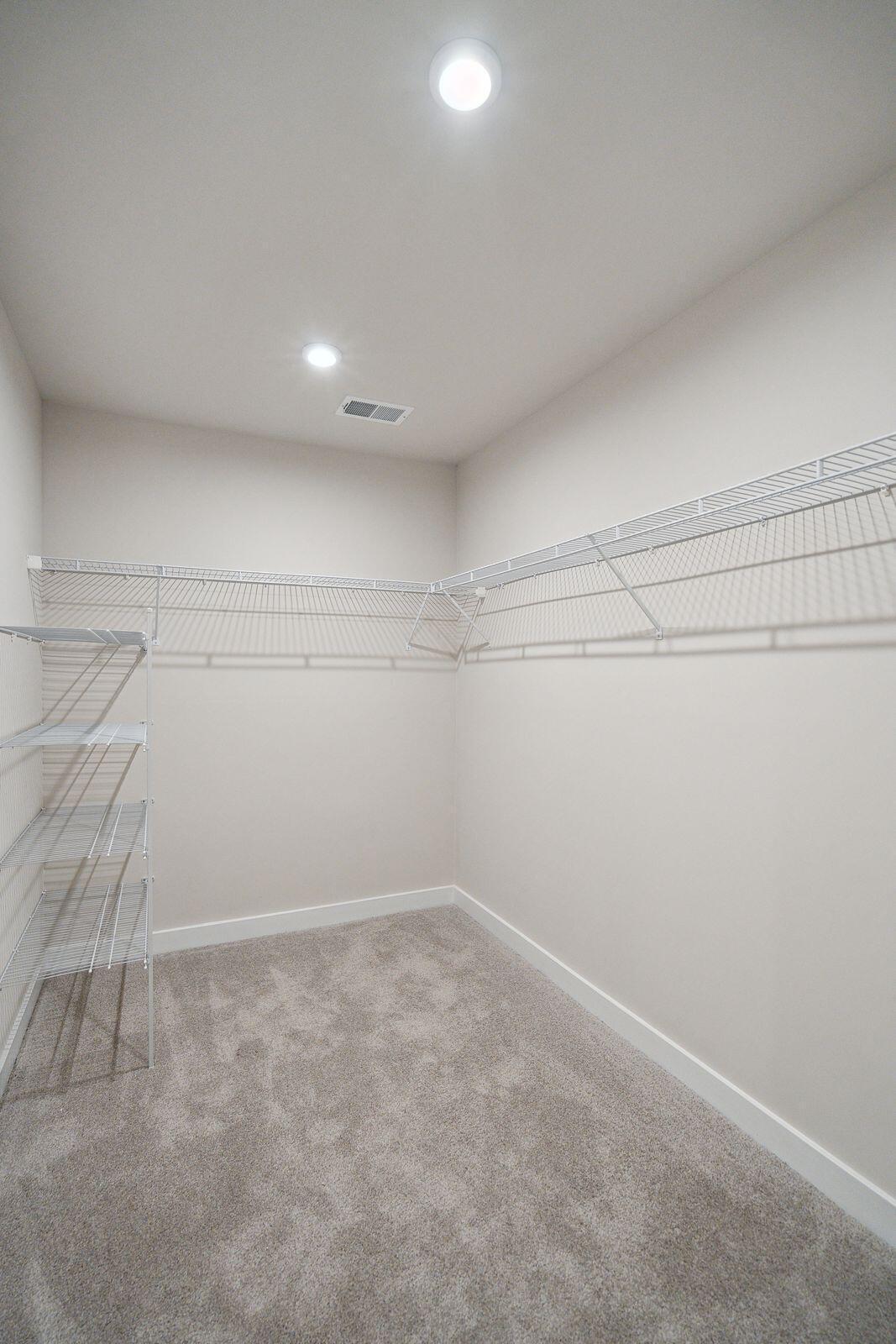 290 Picard Loop Santee, SC 29142 - Photo 10 of 21 Walk in closet