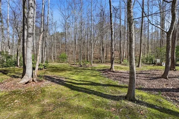 a view of a backyard with large trees