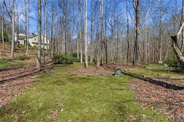 a view of a yard with large trees