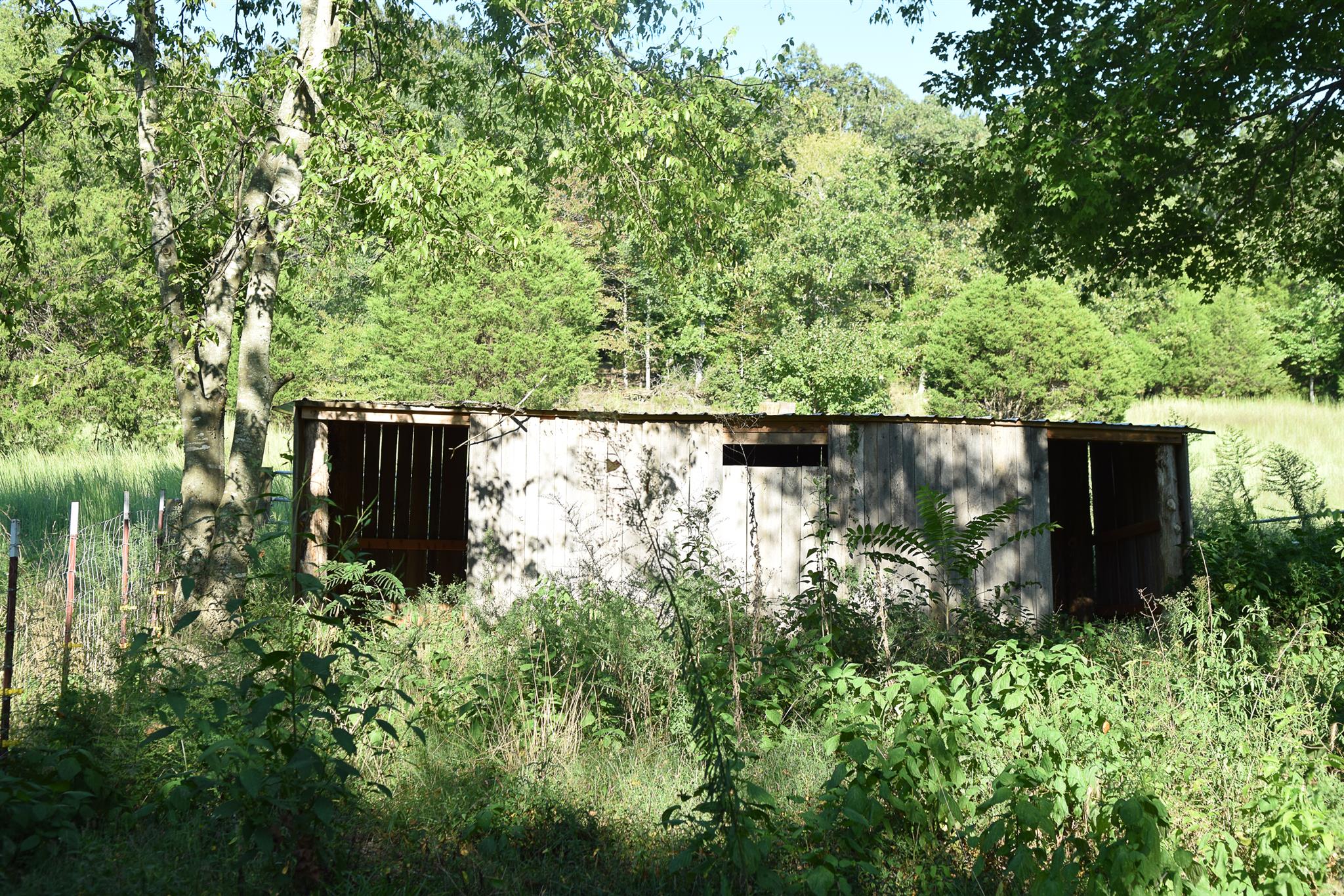 1562 East Beaverdam Road Centerville, TN 37033 - Photo 7 of 24 Livestock Shed