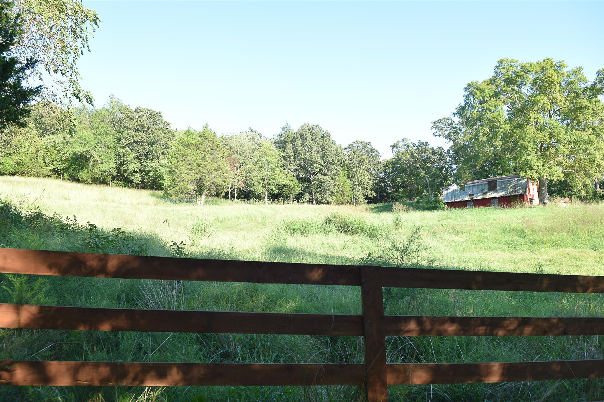 1562 East Beaverdam Road Centerville, TN 37033 - Photo 8 of 24 Beautiful Rolling Pastures!