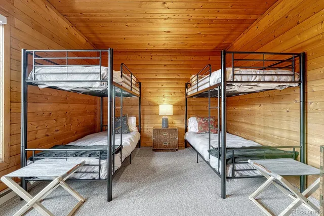 a view of a yard with plants and large trees