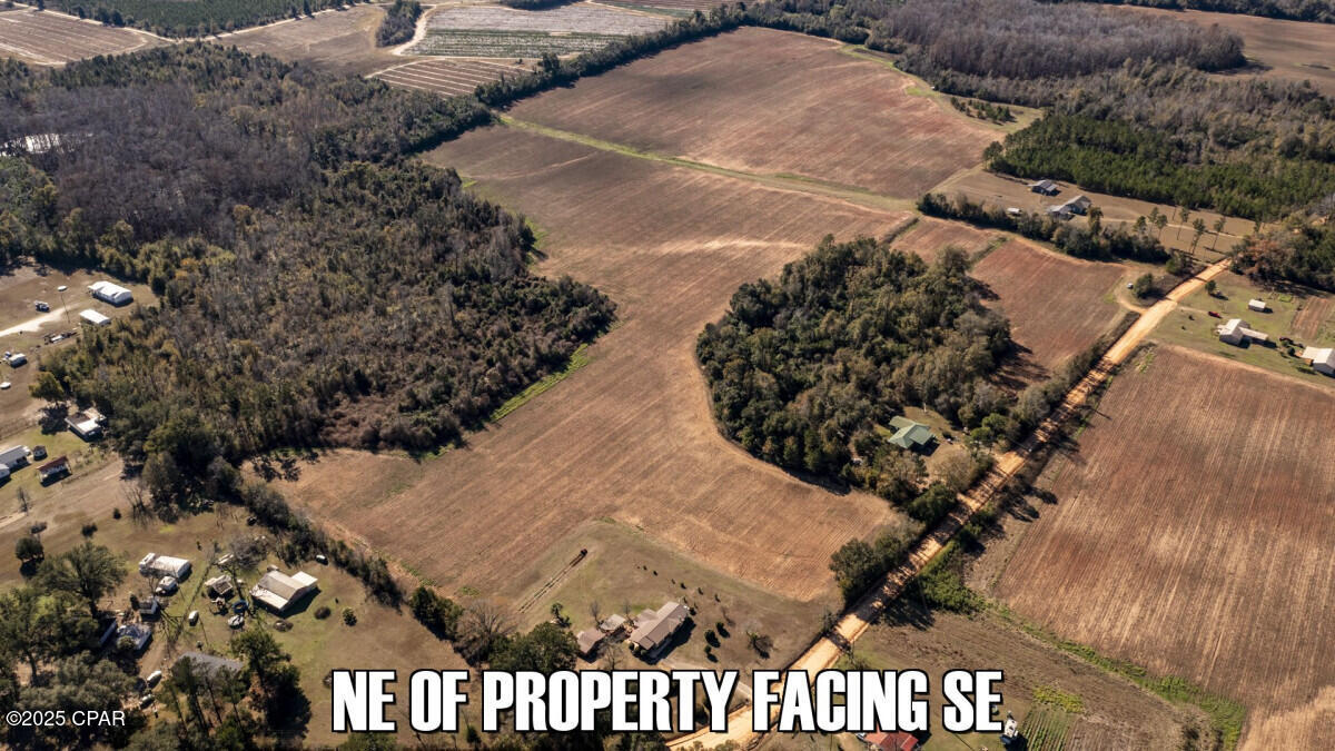 0 Sand Basin Road Grand Ridge, FL 32442 - Photo 1 of 18 Gallery Image 1