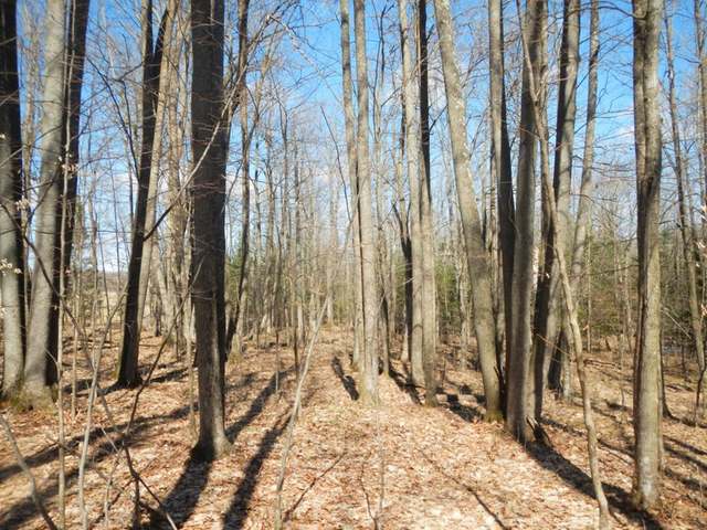On Hallberg Road Ogema, WI 54459 - Photo 10 of 13 Gallery Image 10