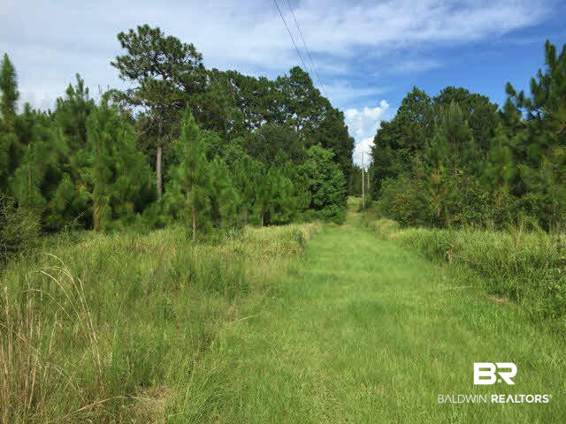 10245 Rte Road Lillian, AL 36549 - Photo 3 of 5 Gallery Image 3