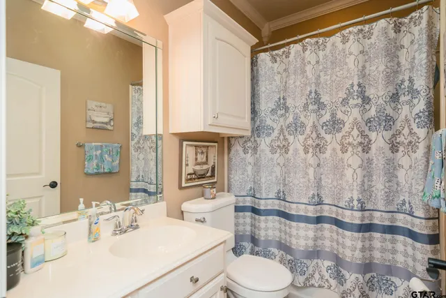 a bathroom with a sink a toilet and shower curtain
