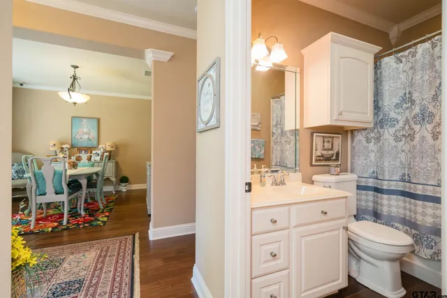 a bathroom with a sink vanity mirror and toilet