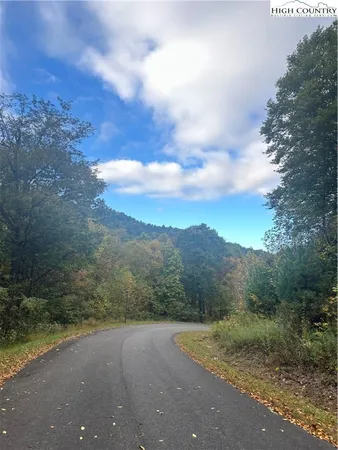 a view of a yard with plants and large trees