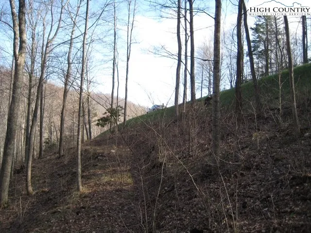 a view of outdoor space with lots of trees