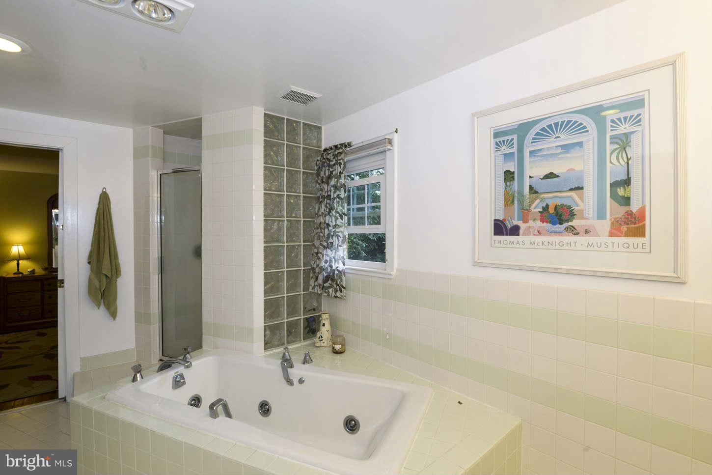 5002 Ten Oaks Road Clarksville, MD 21029 - Photo 12 of 28 Bath (Master)