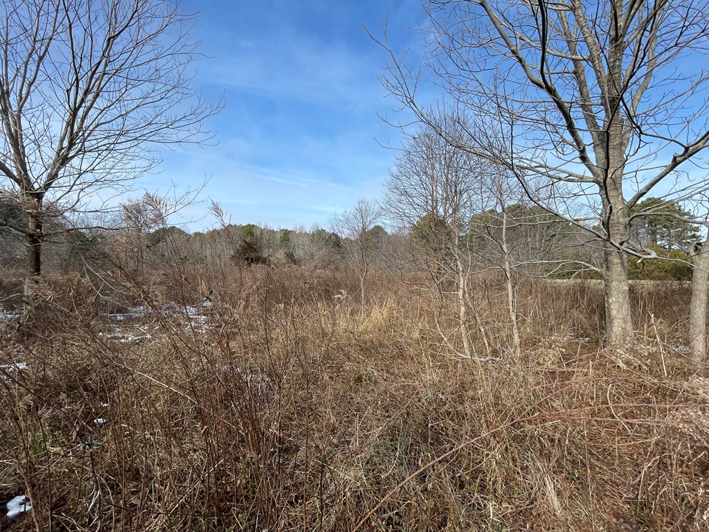 3.65 Old Neck Road, Unit 1 Weems, VA 22576 - Photo 28 of 35
