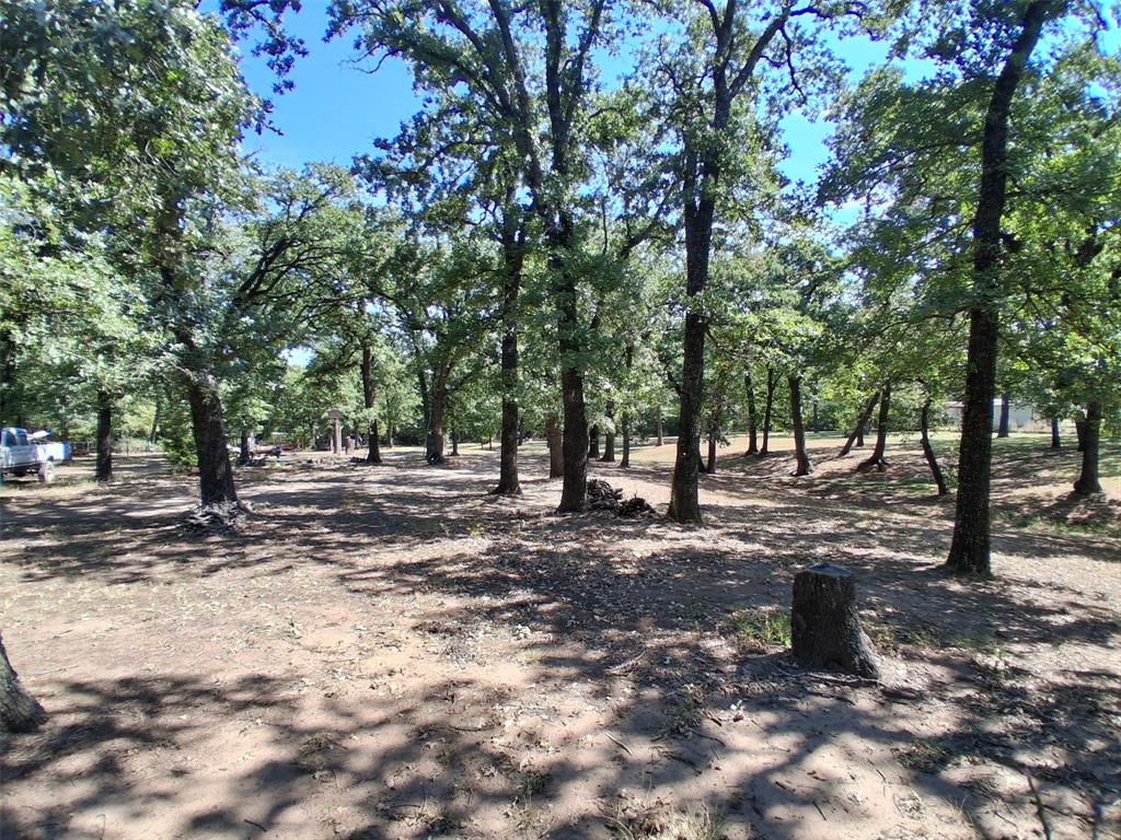 Tbd Cedar Oaks Road Grandview, TX 76050 - Photo 3 of 7 a view of a forest with trees