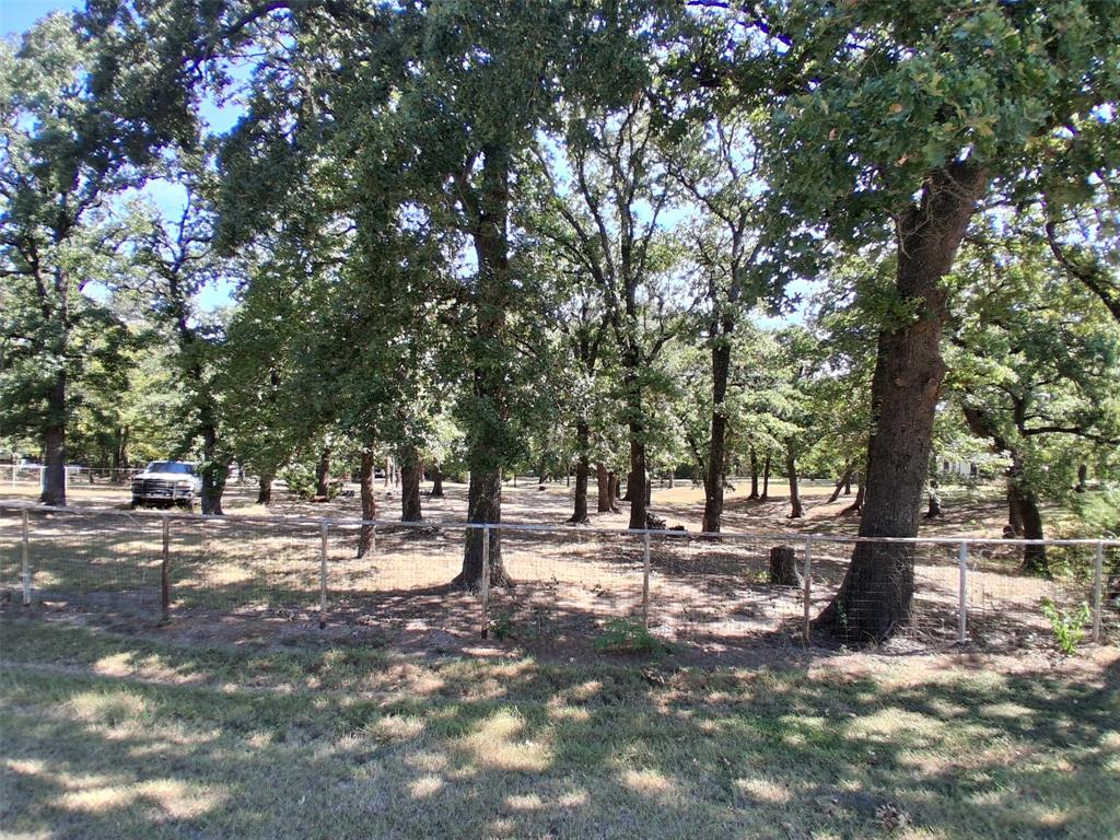 Tbd Cedar Oaks Road Grandview, TX 76050 - Photo 7 of 7 a tree in the middle of a yard