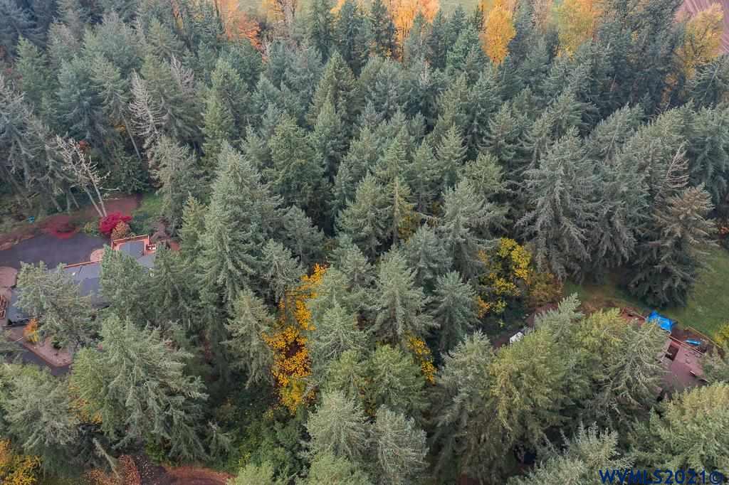 Bramblewood Lane Albany, OR 97321 - Photo 24 of 34