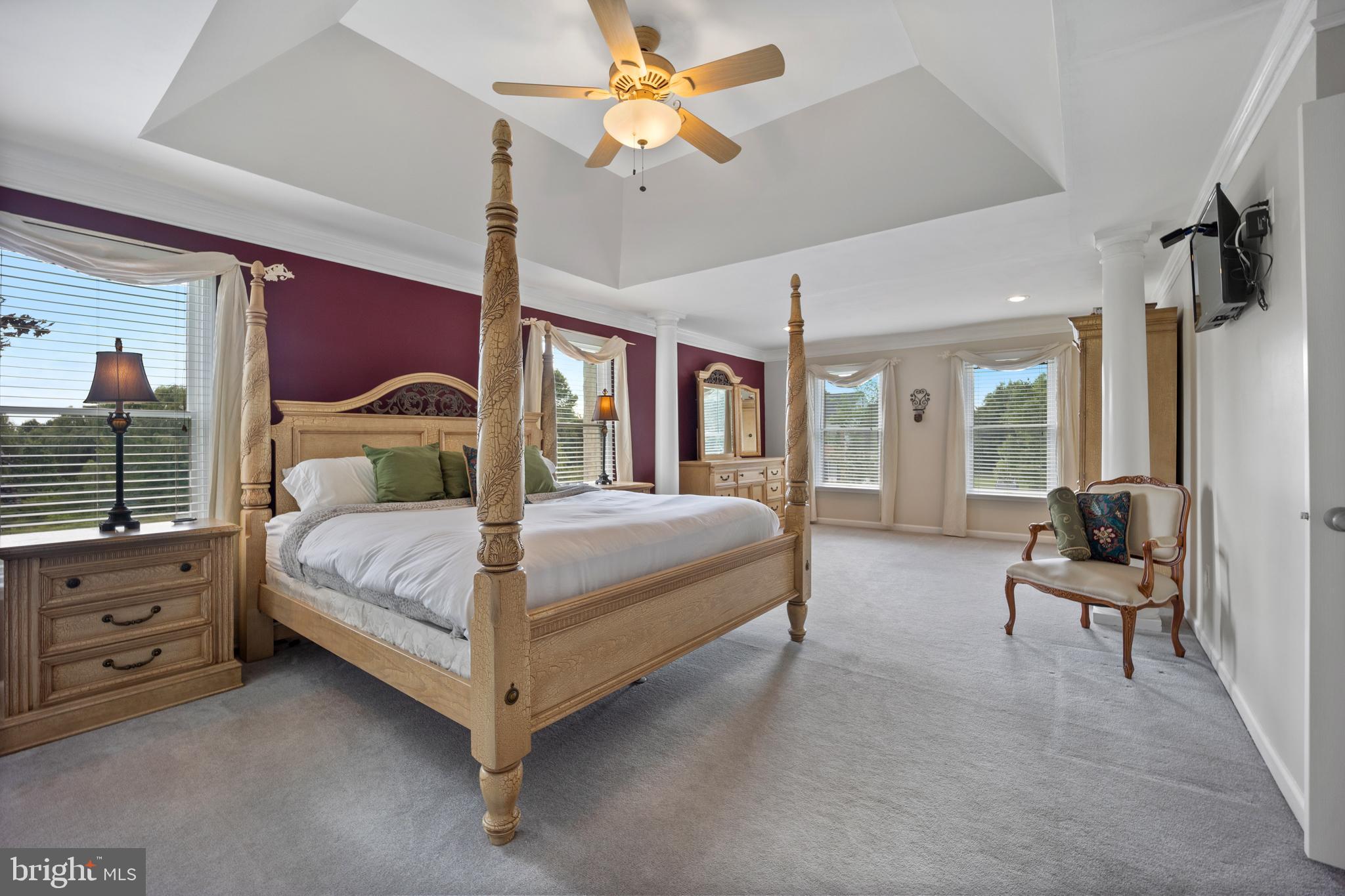 5005 Redfield Road Doylestown, PA 18902 - Photo 30 of 74 Owner's Bedroom With Tray Ceiling