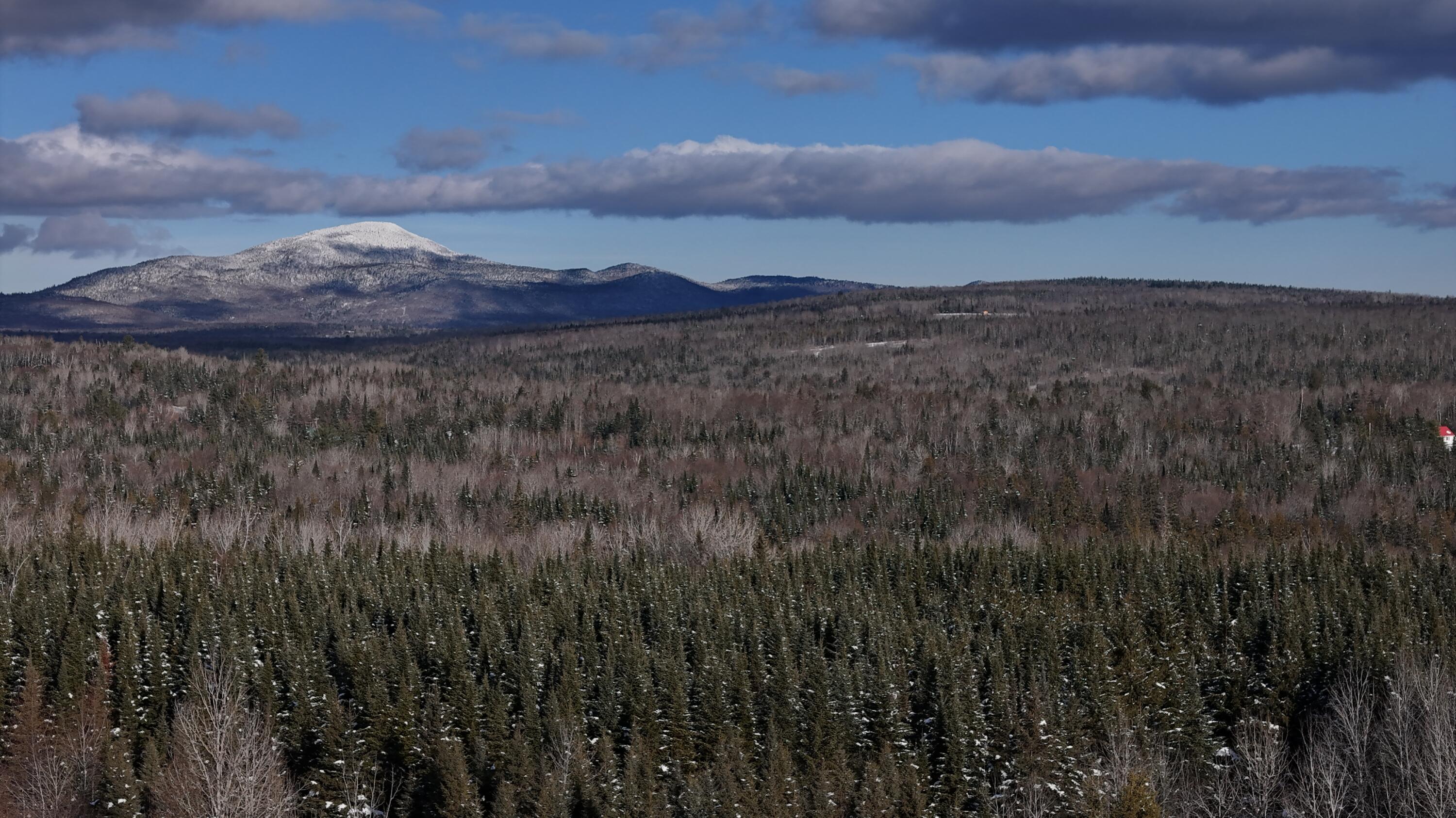 17 Waters Road Patten, ME 04765 - Photo 2 of 31 DJI_20241201101648_0196_D