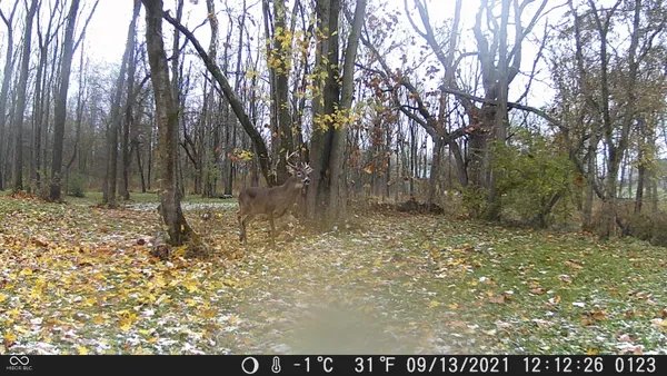 $684,900 | 13455 North Co Rd 425 East, Roachdale, IN 46172