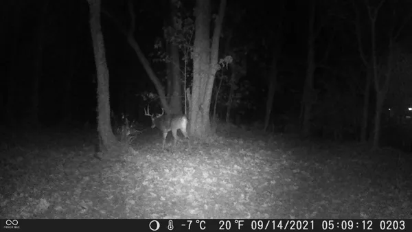 $684,900 | 13455 North Co Rd 425 East, Roachdale, IN 46172