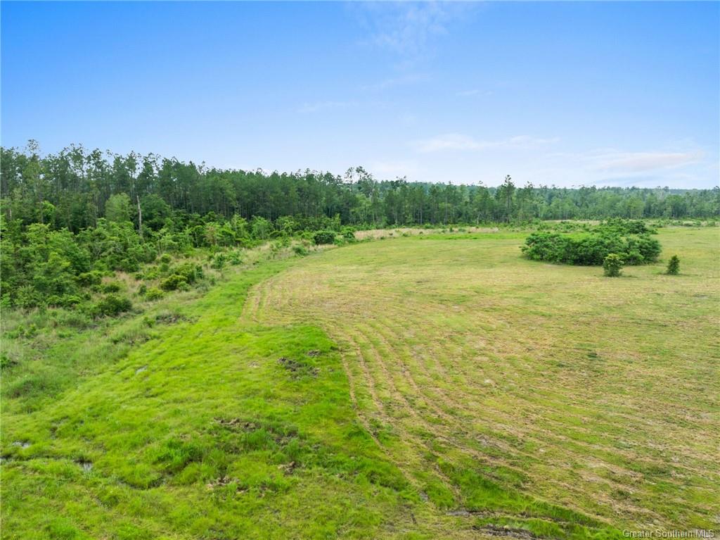 0 Whittington Road Longville, LA 70652 - Photo 4 of 13