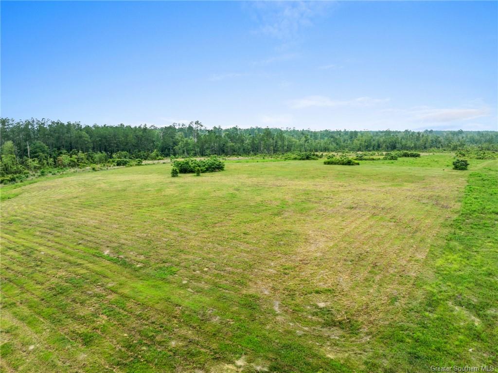 0 Whittington Road Longville, LA 70652 - Photo 5 of 13