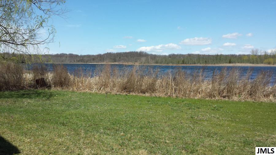 16996 Wolff Road Manchester, MI 48158 - Photo 3 of 28 Photo 3
