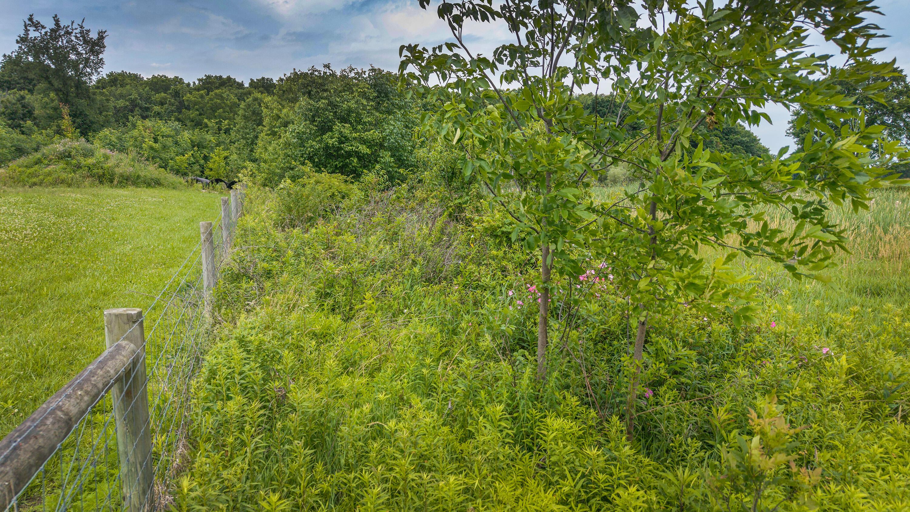 0 Johnstown Road Centerburg, OH 43011 - Photo 10 of 21 JW_10