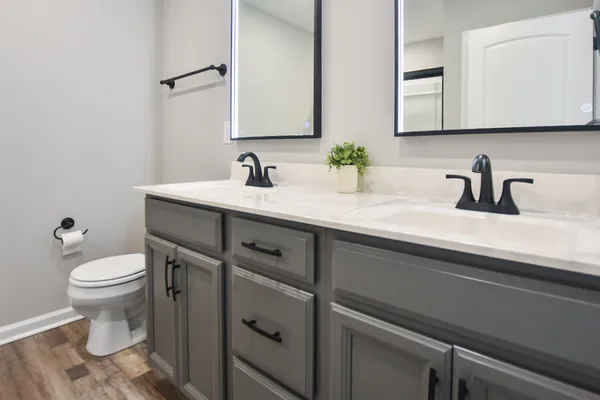 a bathroom with a sink a toilet and mirror