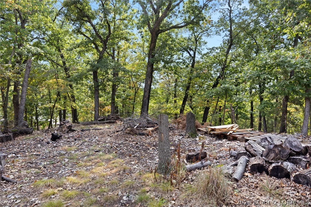 132 Maple Road Lake Ozark, MO 65049 - Photo 40 of 51
