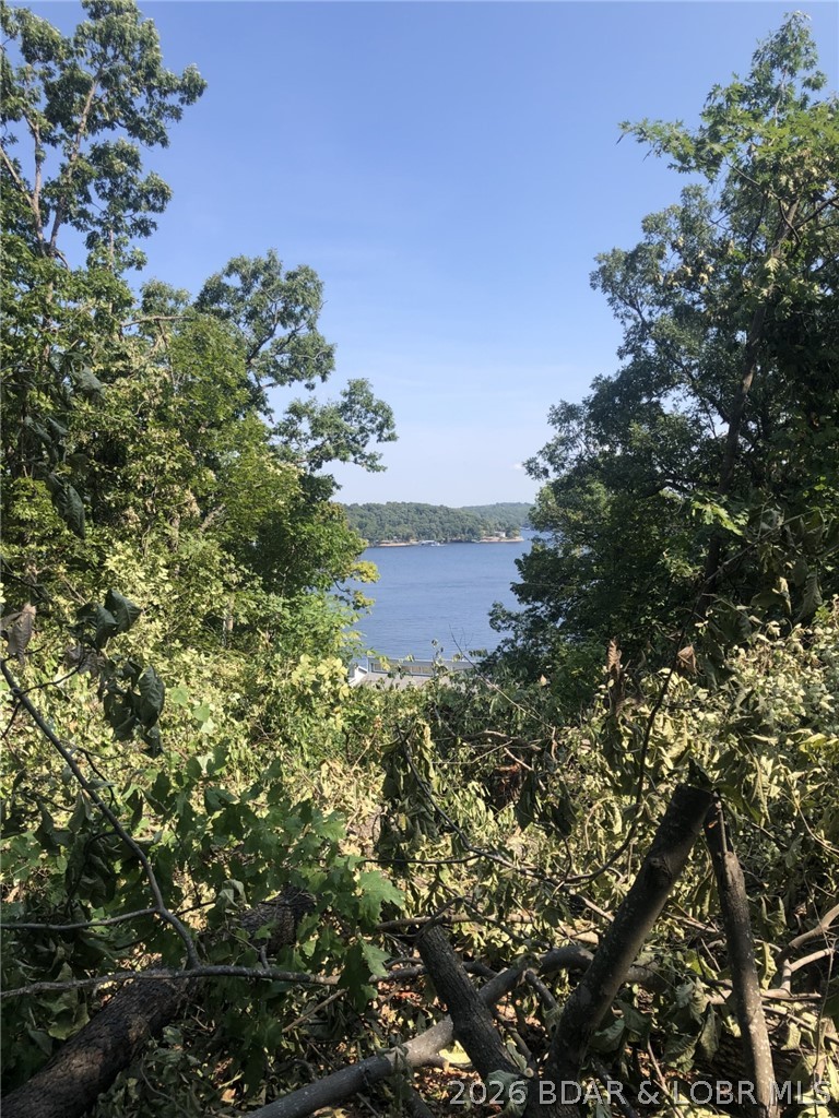 132 Maple Road Lake Ozark, MO 65049 - Photo 50 of 51