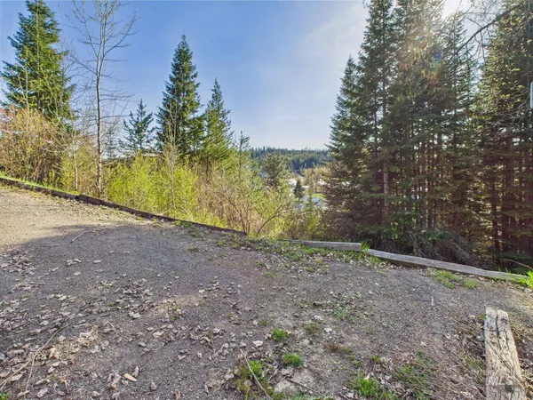 $110,000 | 121 Court Street, Pierce, ID 83546