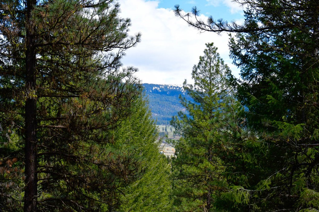 Lot 19 Little Salmon Road, Unit 19 New Meadows, ID 83654 - Photo 12 of 37