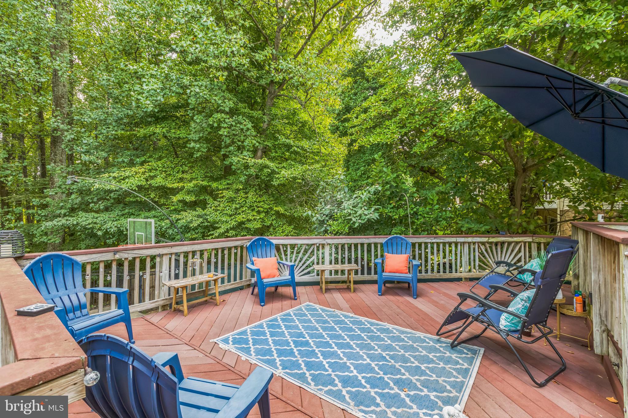 14 Atwood Court Silver Spring, MD 20906 - Photo 51 of 58