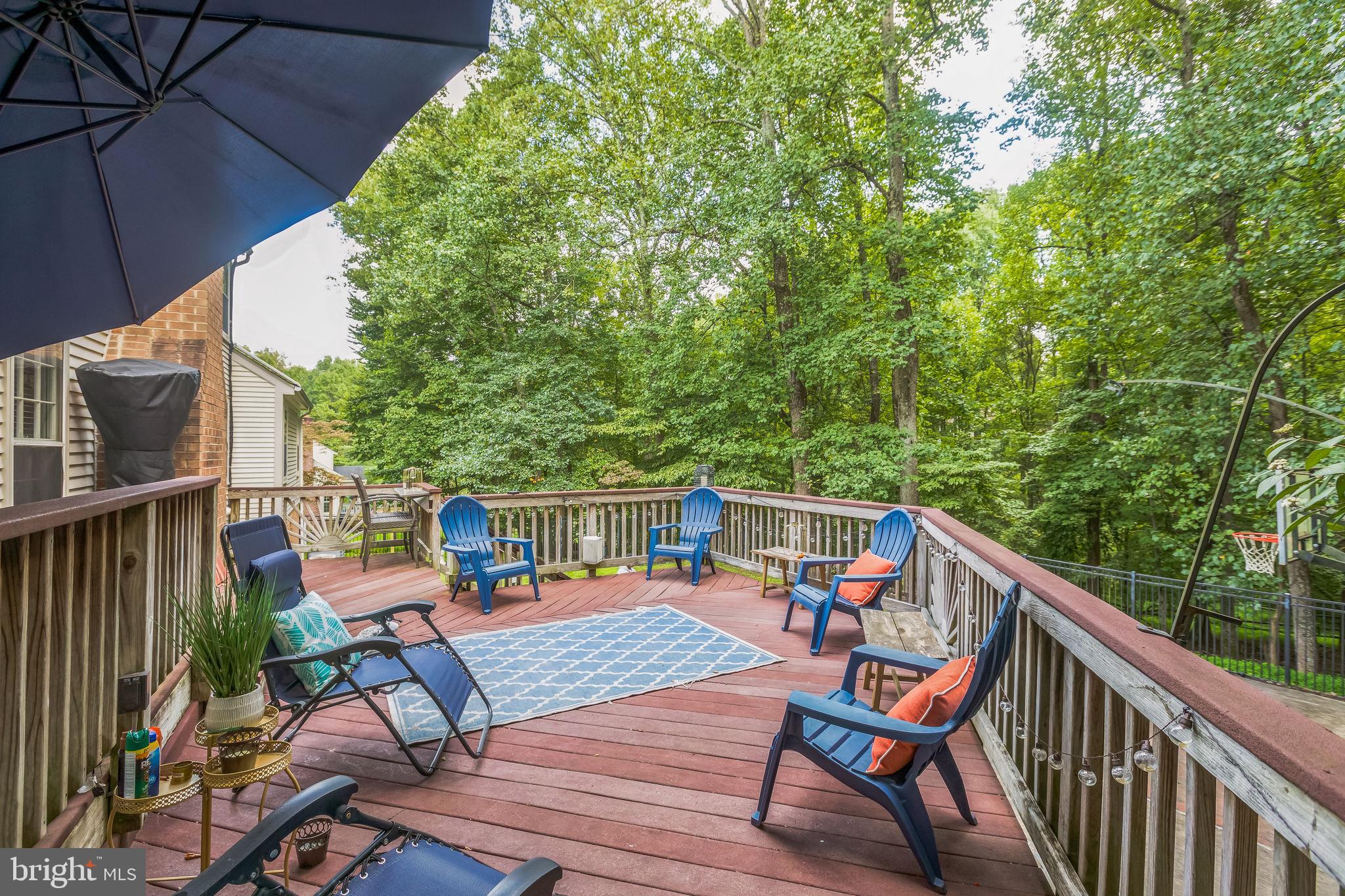 14 Atwood Court Silver Spring, MD 20906 - Photo 52 of 58