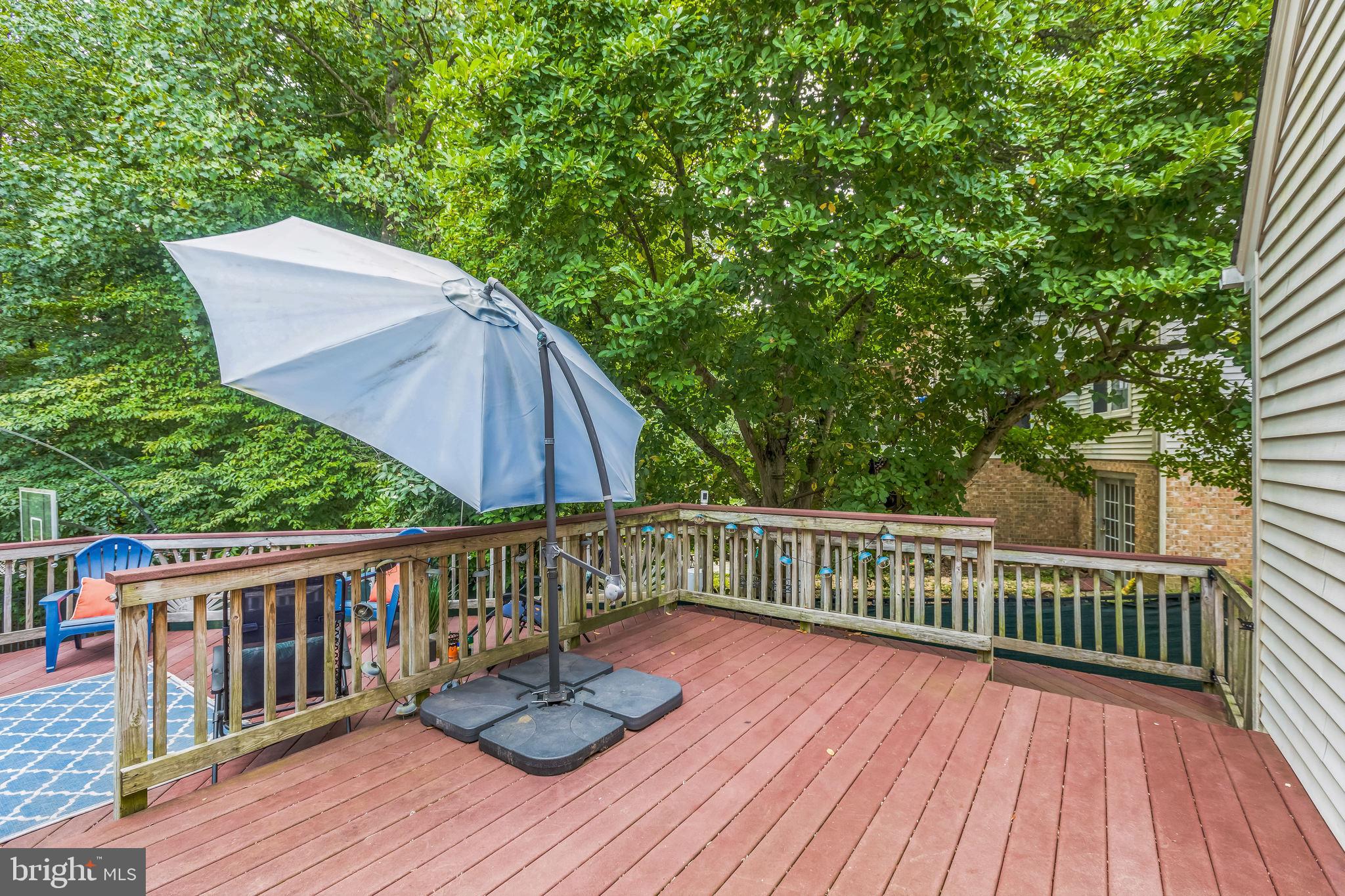 14 Atwood Court Silver Spring, MD 20906 - Photo 53 of 58