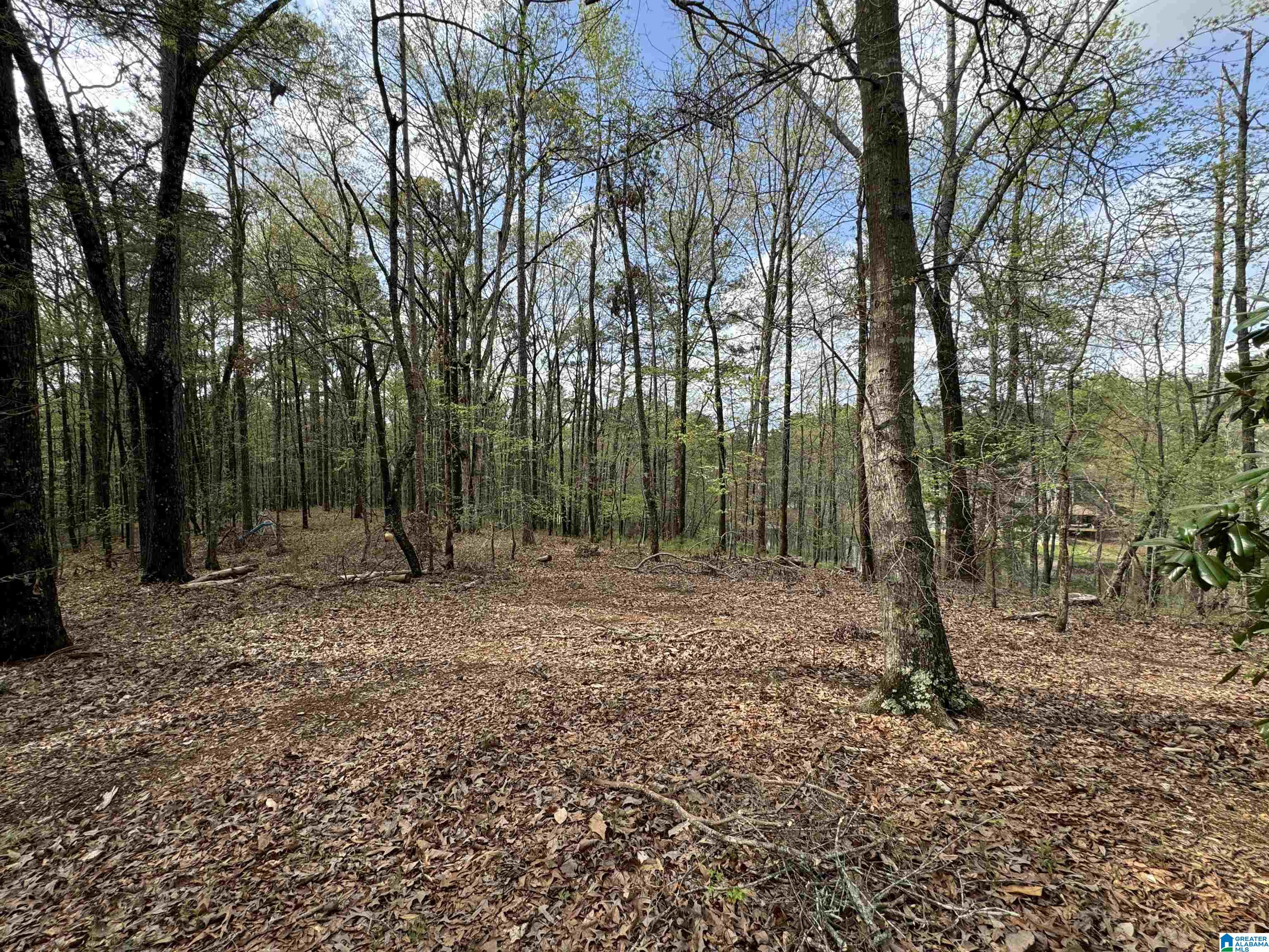 111 Redbud Road Columbiana, AL 35051 - Photo 44 of 49