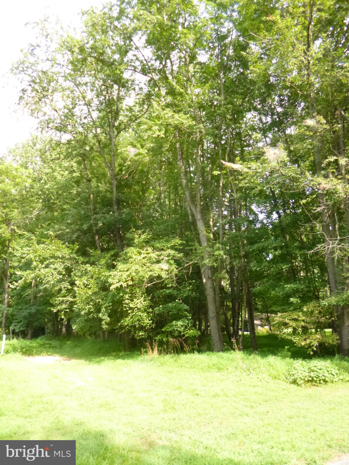 Mink Hollow Road Highland, MD 20777 - Photo 3 of 5 a view of a green yard