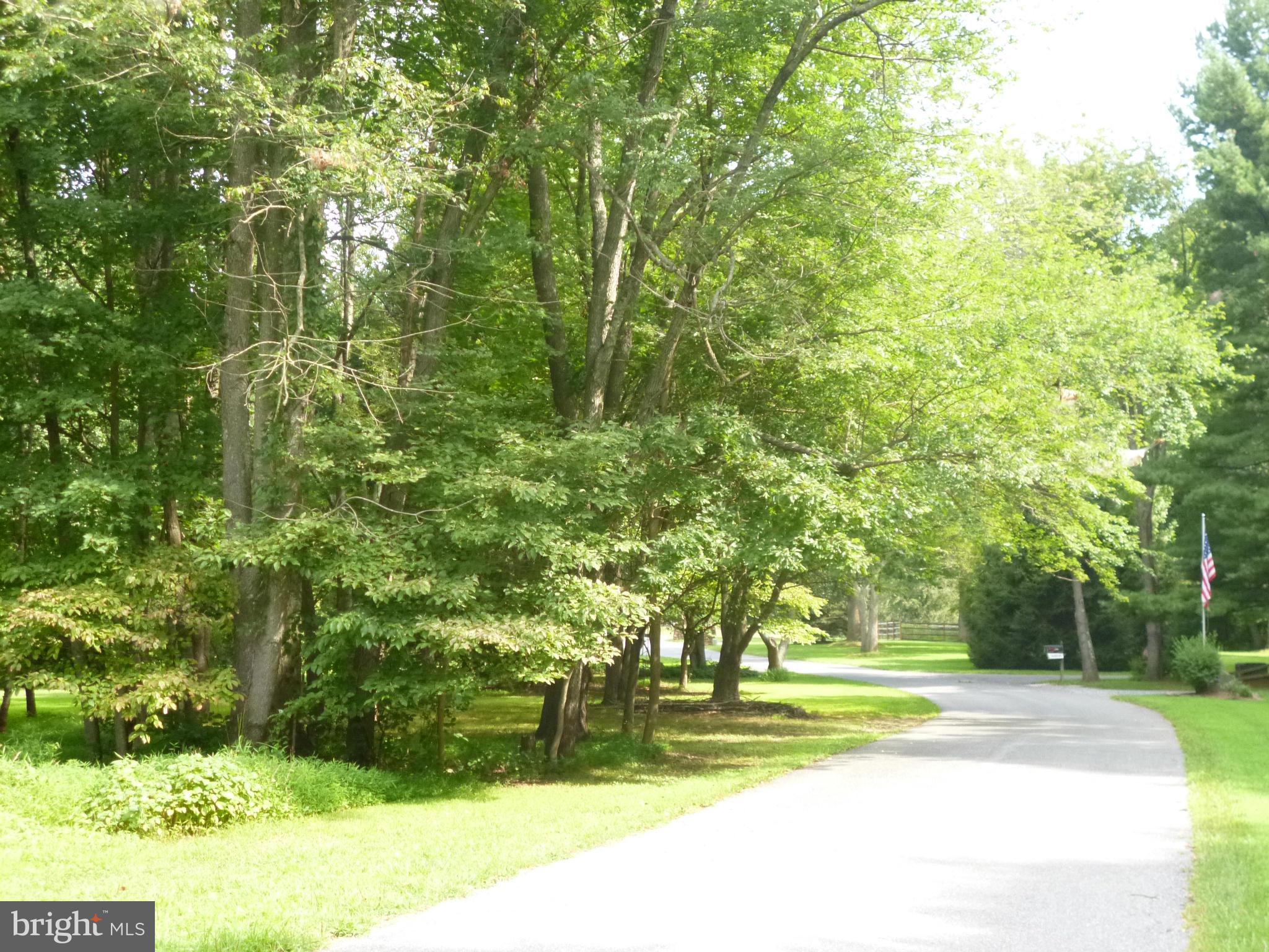Mink Hollow Road Highland, MD 20777 - Photo 4 of 5 a view of swimming pool
