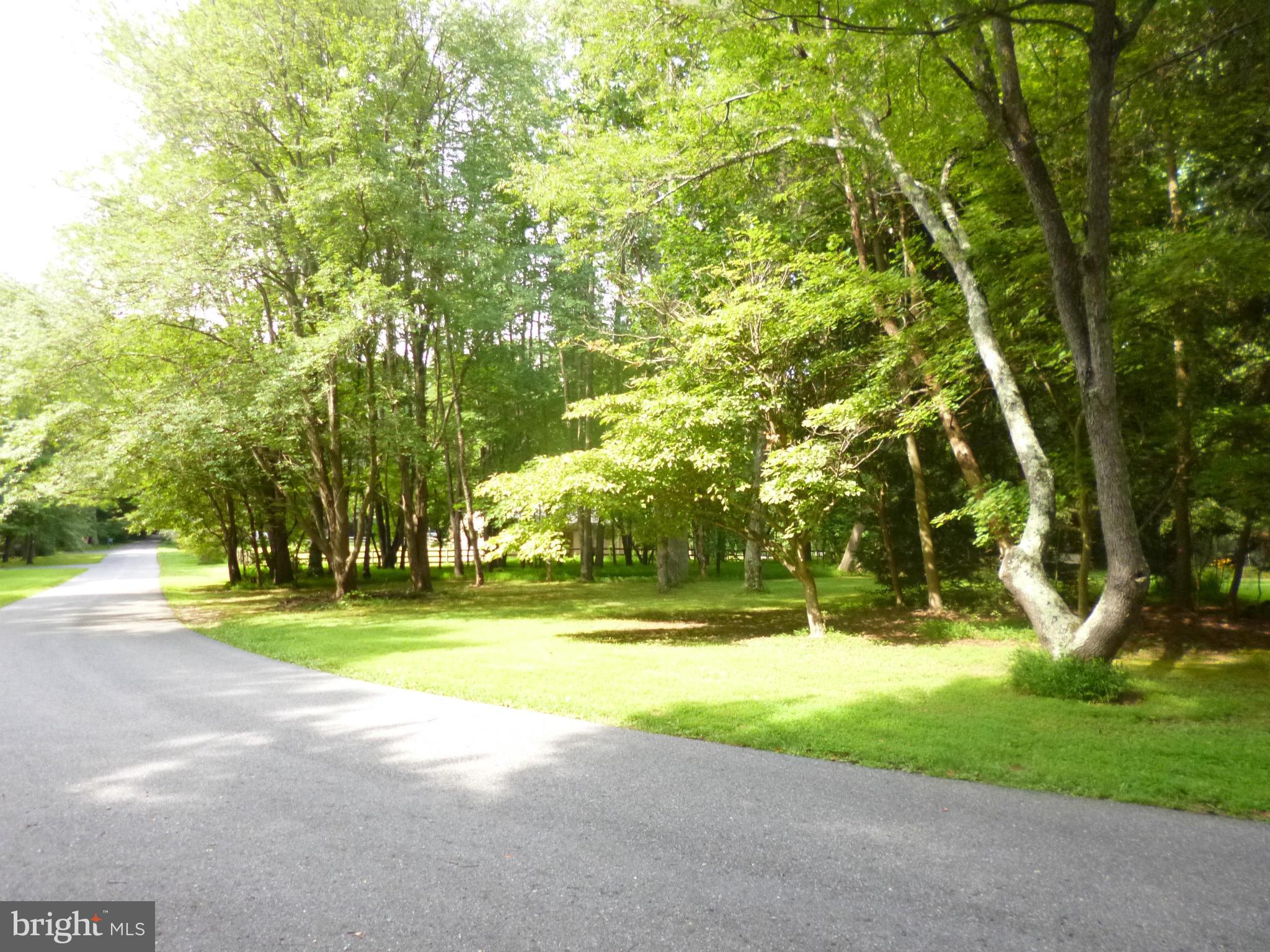 Mink Hollow Road Highland, MD 20777 - Photo 5 of 5 a view of swimming pool and trees in the background