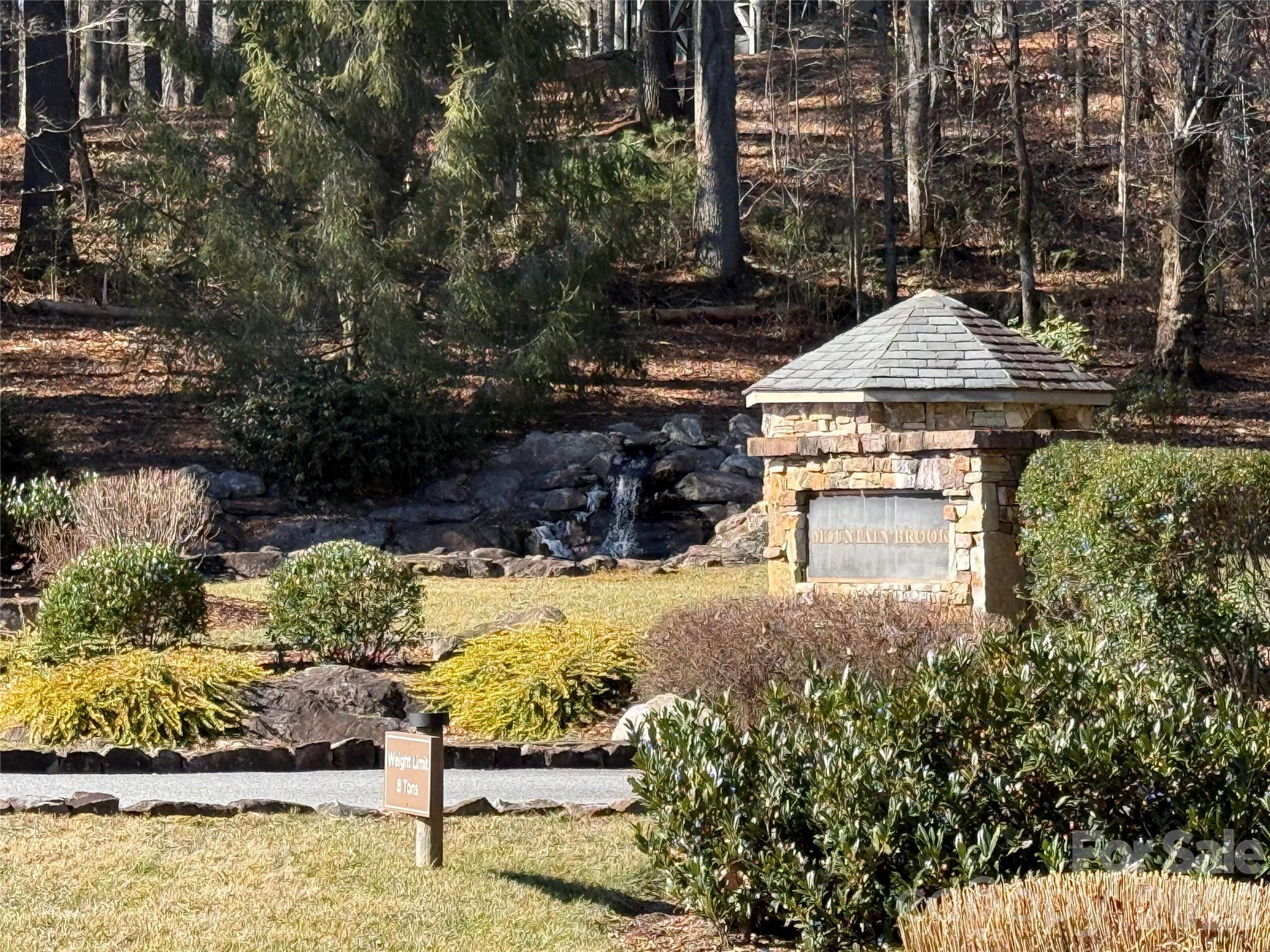 Lot 57 Stone Field Trail Brevard, NC 28712 - Photo 4 of 9