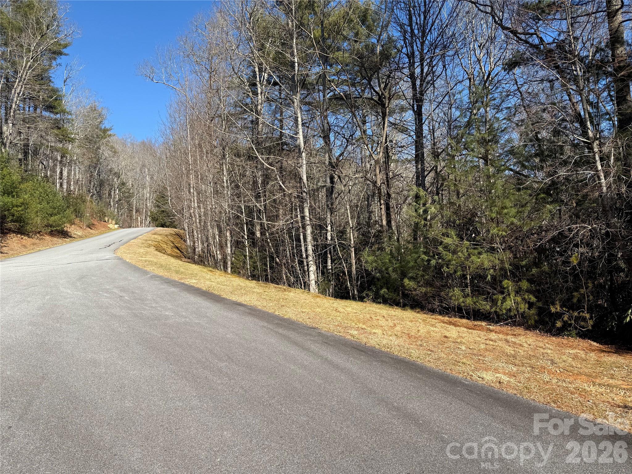 Lot 57 Stone Field Trail Brevard, NC 28712 - Photo 5 of 9