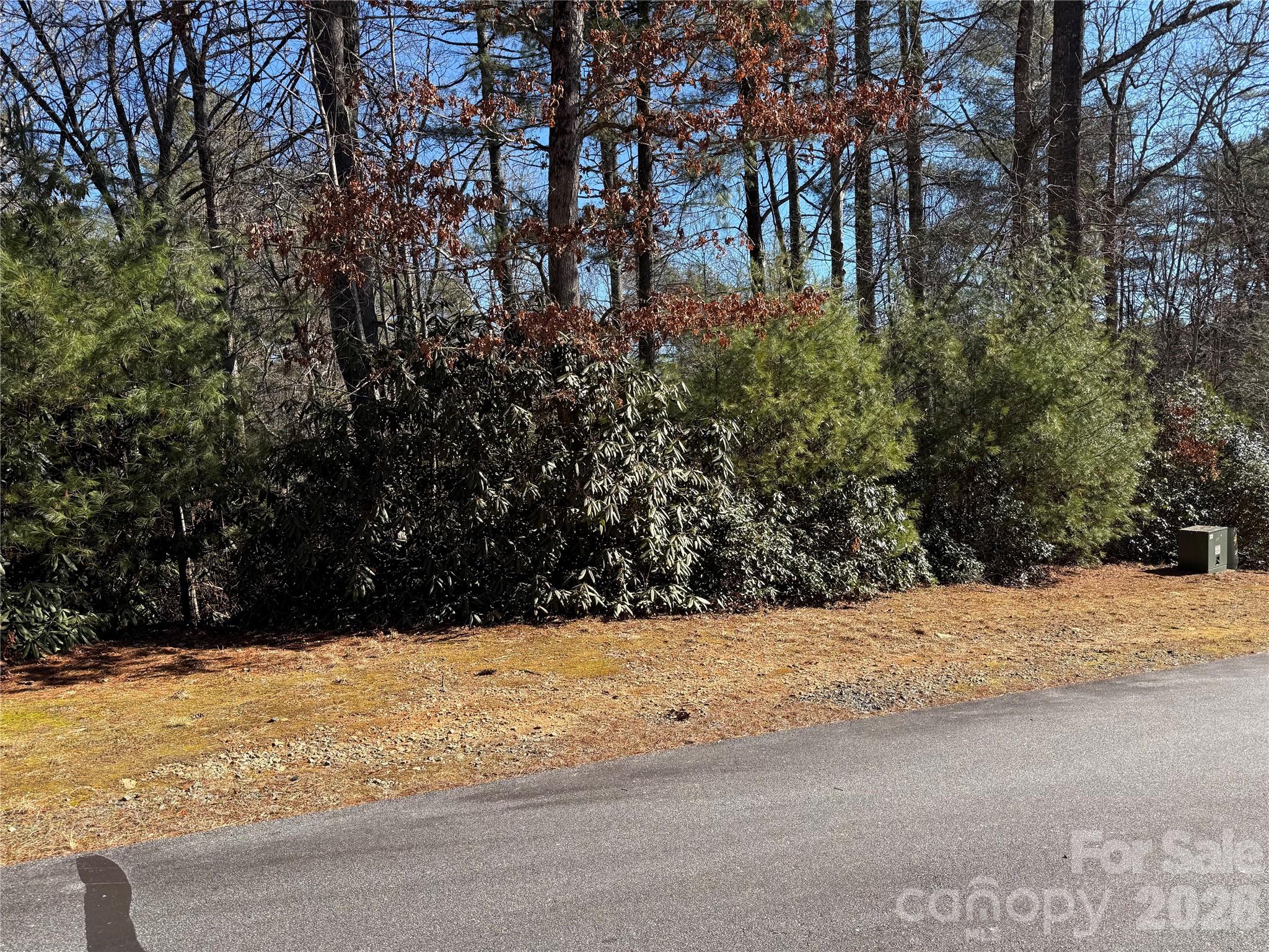 Lot 57 Stone Field Trail Brevard, NC 28712 - Photo 6 of 9